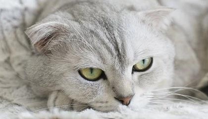 星空体育官方网站——开启您的专业体育体验之旅